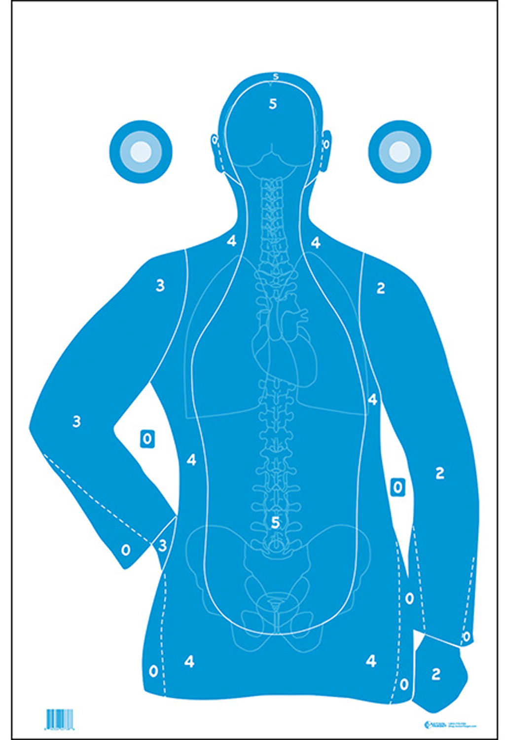 Action Target FB21EANTAV2100 Qualification Silhouette/Vitals Paper Hanging 23" x 35" Blue/White 100 Per Box