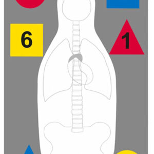 Action Target DTANTQA100 Training Multi-Purpose Silhouette Paper Hanging 23" x 35" Multi-Color 100 Per Box