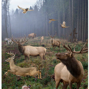 Action Target GSBIGHUNT100 Entertainment Animals Paper Hanging 23" x 35" 100 Per Box