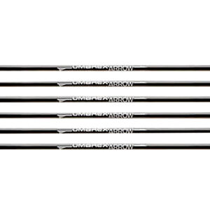 Umarex USA 2252661 Air Saber Black Carbon Fiber/ 6 Pack