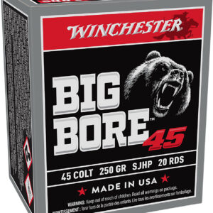 Winchester Ammo X45CBB Big Bore 45Colt 250gr Semi Jacketed Hollow Point 20 Per Box/10 Case