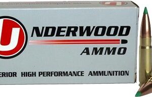 UNDERWOOD 300 AAC 125GR BT - 20RD 10BX/CS