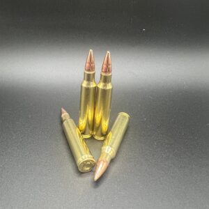 **SALE**223/556 55gr Hollow Point Reman, 50ct