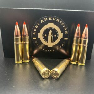 .300 BLKOUT 110gr V-MAX Supersonic