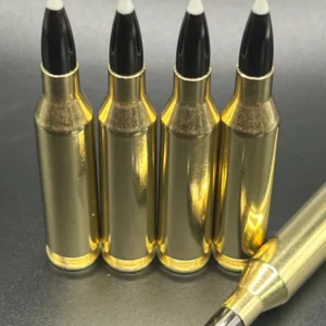 .243 WIN 95gr Nosler Ballistic Silvertip - New, 20ct