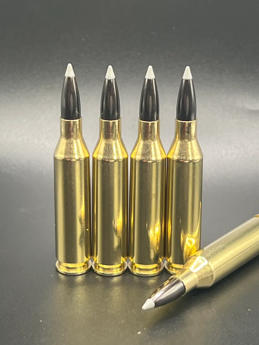 .243 WIN 95gr Nosler Ballistic Silvertip - New, 20ct - Image 2