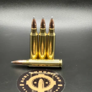 5.56 65gr SBT Bacon Makers, 50ct