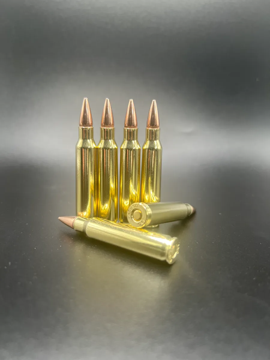 .223/5.56 55gr Hornday HP -300ct BULK w/ Ammo Can - Image 2