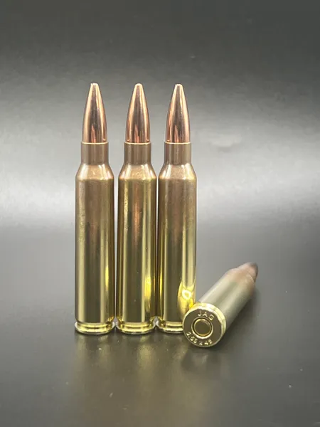 5.56 55gr FMJ - New, 50ct