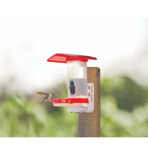Tactacam FeatherSnap Hummingbird Feeder Gen 1
