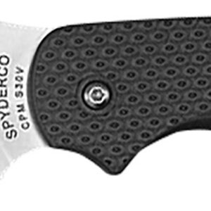 Spyderco C123PBK Sage 5 Lightweight Alzheimer's 3" Folding Plain Satin CPM S30V SS Blade, Black Textured FRN Handle